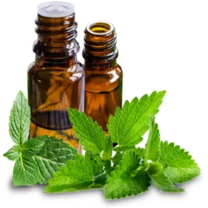 100% Minyak Spearmint Organik Murni Minyak Spicata Mentha Esensial India dari Daun Spearmint Mengandung Sifat Perawatan Kulit