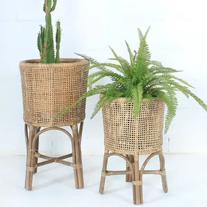 手工藤制植物支架用于家居装饰
