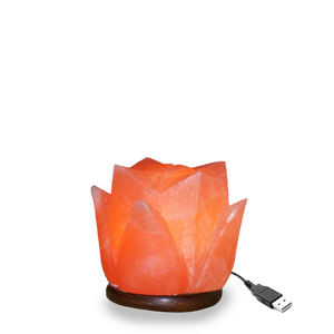 Lampes en sel de l'Himalaya sculptées à la main en forme de lotus SUAZ, lampe en sel de l'Himalaya en forme de fleur - Product Image 5