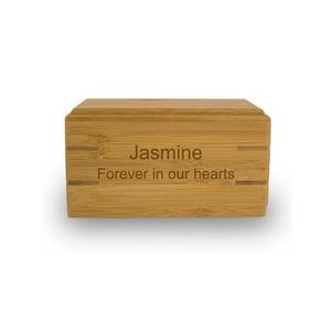 Remation: Ango RN para niños. - Product Image 5