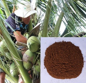 Harina de copra - Product Image 6