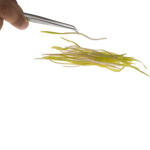 Pince à épiler de cuisine extra longue en acier inoxydable Pince alimentaire et pince à épiler à pointe incurvée médicale pour la maison Outil de jardin et de cuisine - Product Image 6