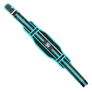 Chất lượng xuất khẩu New Arrival thiết kế mới nhất tạ thể dục thể hình phòng tập thể dục hỗ trợ Neoprene vành đai - Product Image 1