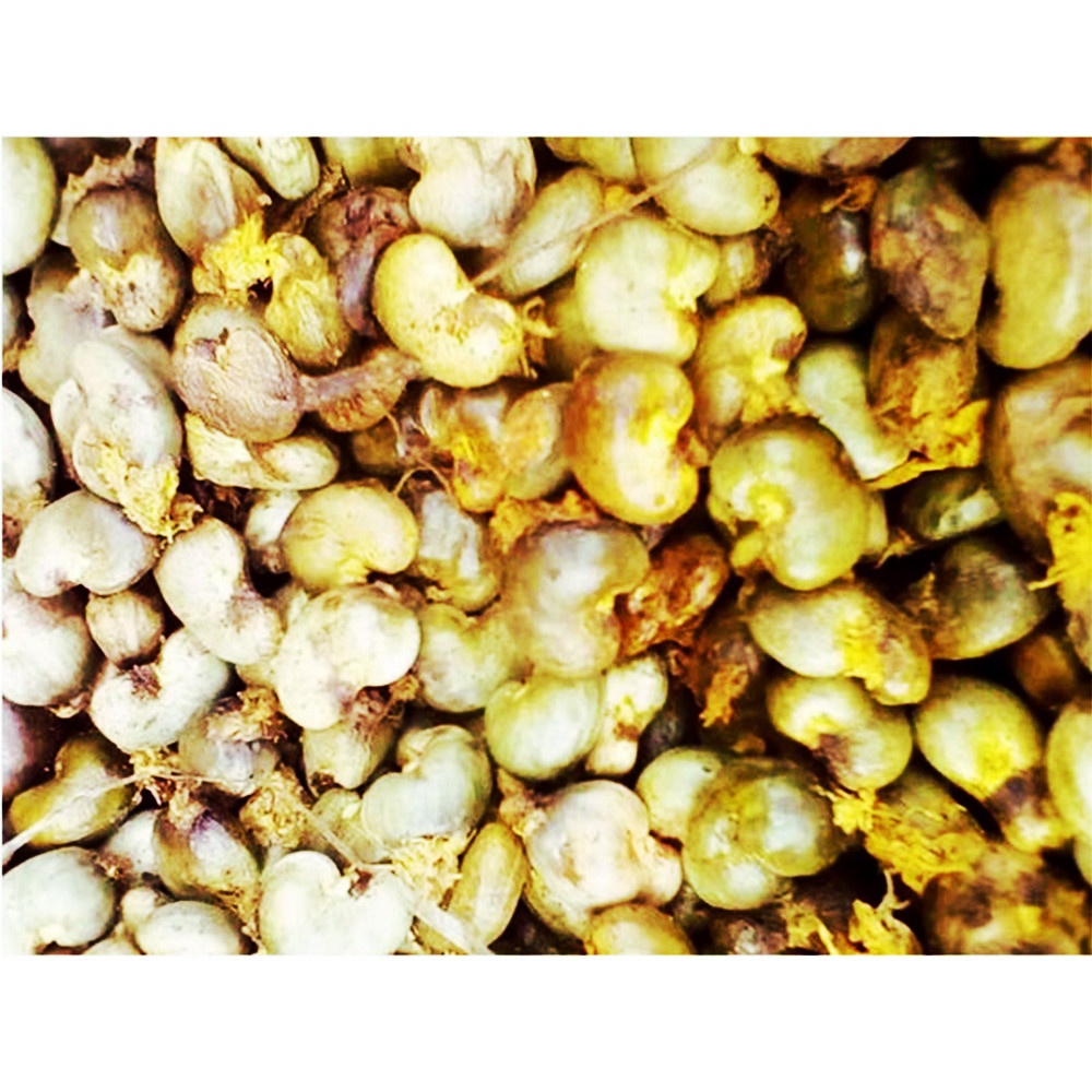 2019 г., самый дешевый аппарат для обжарки кешью, печь для обжарки кешью, необработанные покупатели кешью