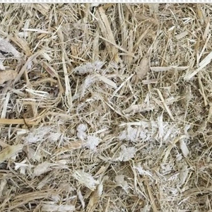 ¡OFERTA CALIENTE PARA TI! BAGAZO DE CAÑA DE VIETNAM PARA ALIMENTACIÓN ANIMAL CON PRECIO COMPETITIVO Y EXPORTACIÓN DE ALTA CALIDAD - Product Image 2