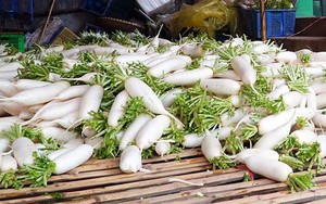 หัวไชเท้าสีขาวสดขาย2019 - Product Image 2