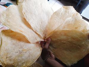 ราคาที่แข่งขันได้กรามปลาแห้งจากเวียดนามขายส่งจํานวนมาก - Product Image 4