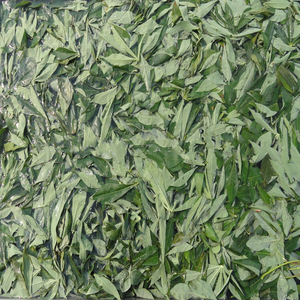 ใบมันสำปะหลังแช่แข็ง - Product Image 2