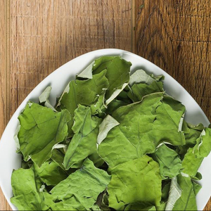 100% STEVIA RABAUDIANA SECAS NATURALES (Vacaciones) - Product Image 4