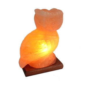 โคมไฟคริสตัล USB 2020เกลือหิมาลัยแบบธรรมชาติเครื่องฟอกอากาศ-sian enterses - Product Image 1