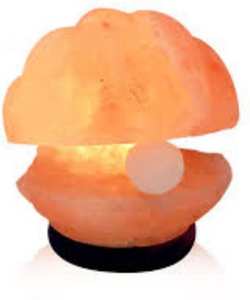Himalayenne En Forme de Coquille Lampes à Sel - Product Image 1