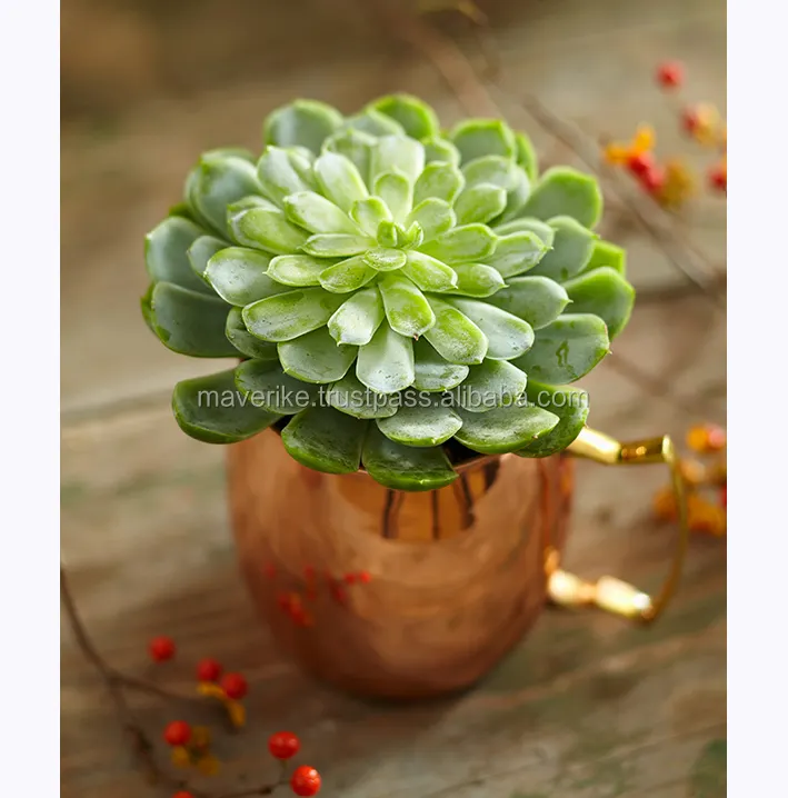 Mini Koperen Plant Pot Tuin Decor Bloempot & Planter Tafelblad Bloemhouder Voor Evenement Feest Huisdecoratie