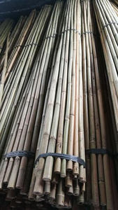 Fournisseur de poteaux en bambou pour l'exportation au Vietnam/Ms. Esther - Product Image 3