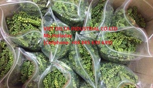 Pimiento verde con precio especial de Vietnam embalaje a granel - Product Image 4