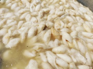 ผ้าไหมคุณภาพสูงที่มาจากธรรมชาติรังไหมสีขาวทำจากวัตถุดิบอินเดียเกรดดีบรรจุภัณฑ์ตามสั่ง - Product Image 3