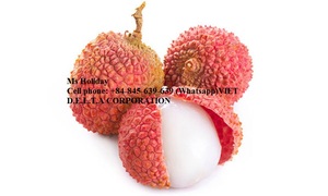 ขายลิ้นจี่หวานพืชใหม่สดคุณภาพสูงและราคาดีที่สุด - Product Image 6