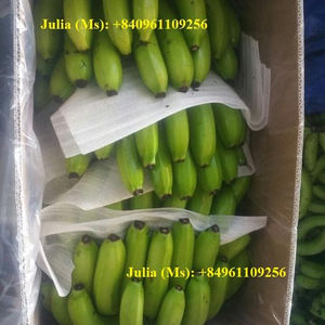 Importadores de Plátanos Frescos/ Plátanos en Caja - Alta Calidad - Product Image 2