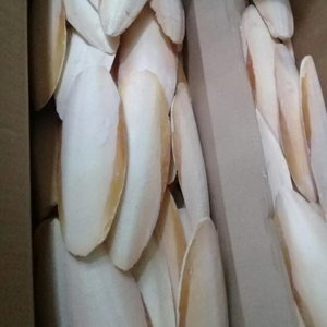 Cuttlebone/hueso de sepia a precio competitivo-Holiday - Product Image 5