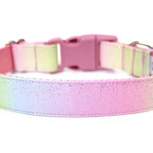 Pastel Rainbow Dog <b>Collar</b> - Product Image 1