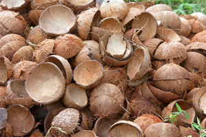 Briquetas de carbón de cáscara de coco-Exportación de alto poder calorífico - Product Image 5