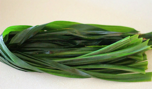 ผงแพนด้าจากเวียดนามราคาถูกและมีคุณภาพสูง - Product Image 4
