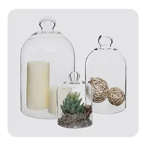 Good Price Home and Wedding Decoration Glass Dome Bell Jar with Wooden Base From India