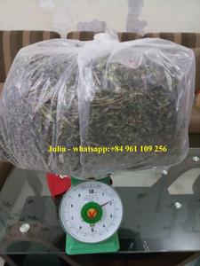 2022 VERBENA para té Cultivo fresco orgánico de alta calidad Viet Nam - Product Image 3
