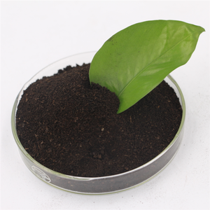 ปุ๋ยอินทรีย์จากอุจจาระค้างคาวขายส่ง - Product Image 6