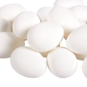 eggs chicken table - Product Image 2