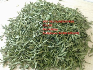 100% STEVIA RABAUDIANA SECAS NATURALES (Vacaciones) - Product Image 5
