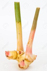 Huile essentielle de galanga pur huile d'aromathérapie naturelle pour diffuseur de Massage soins de la peau huile familiale de gingembre anti-inflammatoire en vrac - Product Image 5