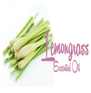 Distillation à la vapeur extrait d'huile de citronnelle Pure fournisseurs d'huile essentielle d'aromathérapie Pure 100% Set pour diffuseur - Product Image 4