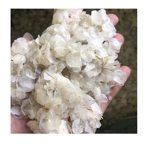 ผลิตตะกรันปลาแห้งคุณภาพสูงเพื่อการส่งออก / ตะกรันปลา Ossein แห้ง / ตะกรันปลานิลจากเวียดนาม - Product Image 1