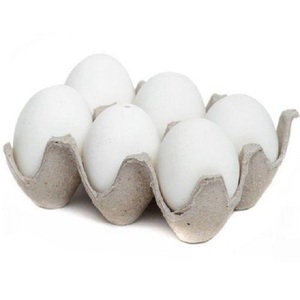 broiler chicken eggs - Product Image 1