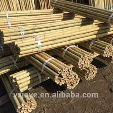 Fournisseur de poteaux en bambou pour l'exportation au Vietnam/Ms. Esther - Product Image 2