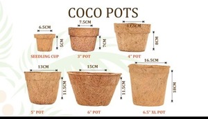 Olla de coir de Vietnam - Product Image 4