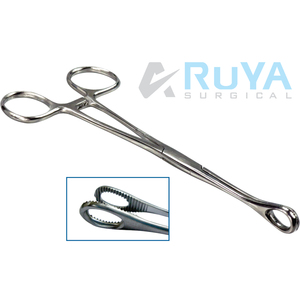 เครื่องมือผ่าตัด คีมจับฟองน้ำ Foerster Rampley แบบไม่มีตัวล็อค คีมจับตรง สำหรับสัตวแพทย์ - Product Image 2