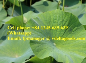 ราคาที่ดีที่สุดโลตัสผงบัว - Product Image 4
