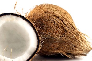 NOIX DE COCO SÉCHÉE DE HAUTE QUALITÉ AU VIET NAM - Product Image 2