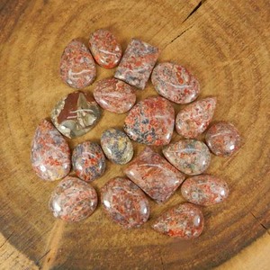 Lote de 50 gramos de gemas en forma de hueso de dinosaurio, venta al por mayor - Product Image 1