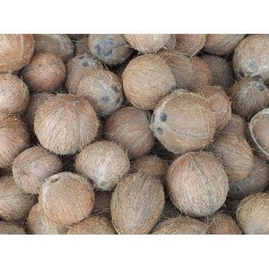 Noix de coco séchée au vietnam, prix très bas à vendre - Product Image 3