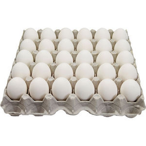 farm chicken eggs - Product Image 3