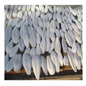 COMPETITIVE PRICE VIETNAM CUTTLE <strong>FISH</strong> <strong>BONE</strong> / CUTTLEBONE / SQUID <strong>BONE</strong> - Product Image 1