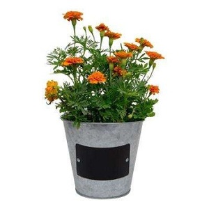 SEAU FLEUR PARAPLUIE DÉCORATIF SEAU POTS POUR PLANTEUR - Product Image 1