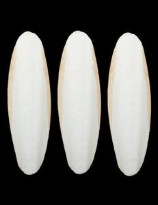 Hueso de Sepia Entero/ Hueso de Sepia Asiática para Aves - Product Image 6