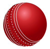 HANS RAJ MAHAJAN & SONS Ballon de cricket cousu sur mesure, taille et couleur personnalisables, équipement sportif d'entraînement en plein air