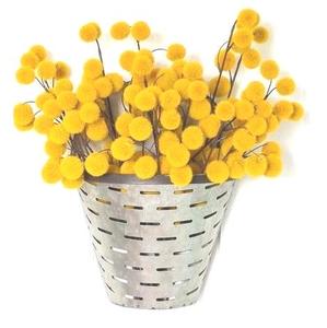 ที่ปลูกต้นมะกอกโลหะแบบเรียบง่ายกระถางต้นไม้ดีไซน์คลาสสิกสำหรับใช้ในบ้านและร้านอาหารสำหรับห้องนั่งเล่น - Product Image 3