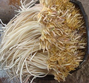 Raíces de loto de Vietnam saladas - Product Image 2