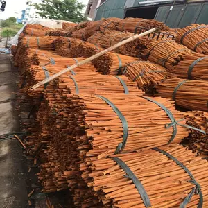 Natural color Split cassia - thin whole cinnamon / Finger cassia / Cassia tube