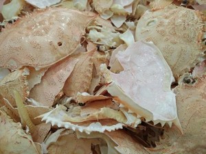 Vỏ cua khô để bán 2021 - Product Image 2